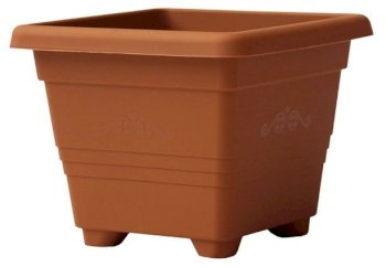 obal BEGONIA T 50x50